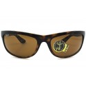 Ray Ban RB 4089 Sunglasses