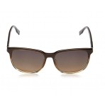 Boss 0556 occhiali da sole uomo wayfarer col. marrone