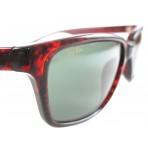 Ray Ban W2947